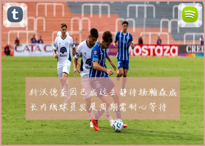 科沃德奎因已成过去静待杨瀚森成长内线球员发展周期需耐心等待