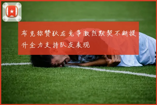 布克称赞狄龙竞争激烈默契不断提升全力支持队友表现